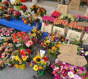 Rundgang über den Grünmarkt Salzburg