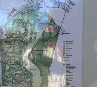 Botanischer Garten - Rombergpark