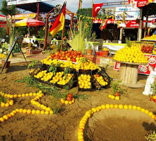 Inspirationen an d.Strandprom.entlang Nov.2010