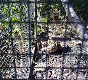 Tierpark Manavgat