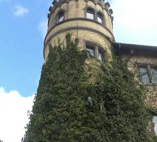 Schloss Königsegg Mittelzell