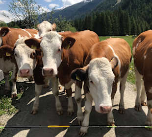 Wandern St. Jakob im Defereggental