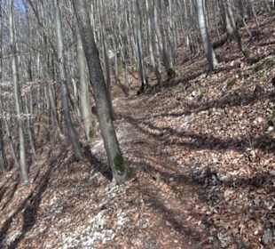 Burgruine Hohenwittlingen