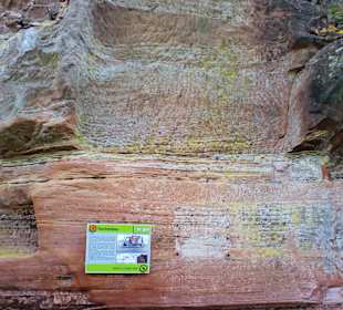 Burgruine Hohenburg in Homburg