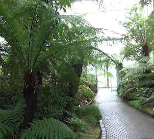 Tropicarium - Feuchte Tropen