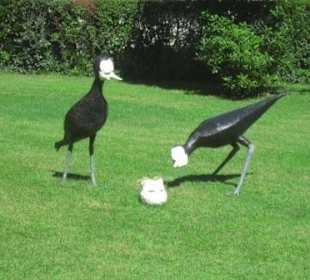 Komische Vögel