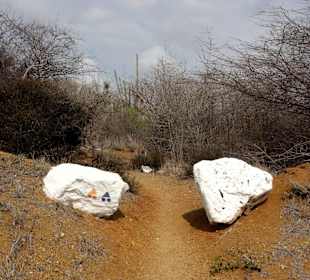 Zugang zu den Jan-Thiel-Salinen