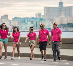Our team 