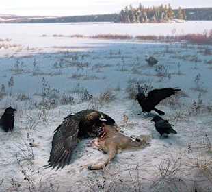 Algonquin Provincial Park, Visitor Centre