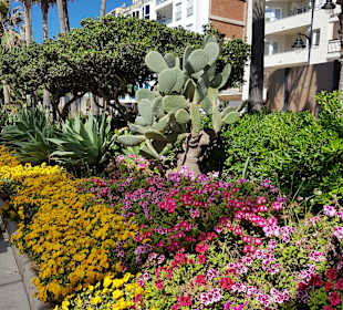 Strandpromenade Estepona