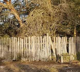 PrivatSafari 10/17 - Tsavo+Amboseli - impressions