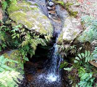 Inselrundfahrt Terceira