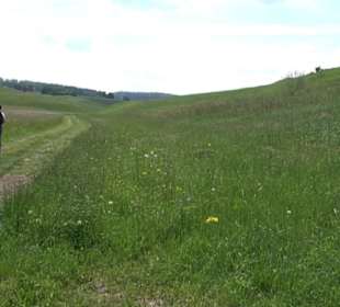 Klimaweg Sonnenalb
