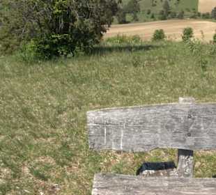 Premiumwanderweg Hochgehschätzt