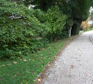 Schlösslepark Kressbronn