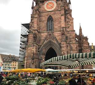Freiburger Münster