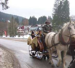 Saně ve Špindlerově mlýně