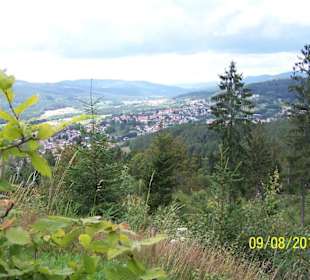 Blick vom Silberberg