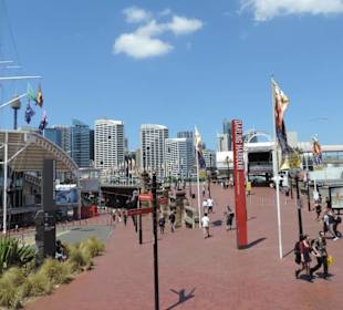 Mit dem Hop-on hop-off Bus in Sydney unterwegs