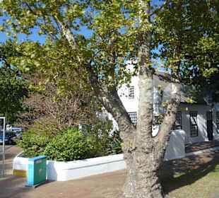 Weingebiet Stellenbosch