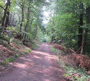 Auf dem Weg zur Landauer Hütte