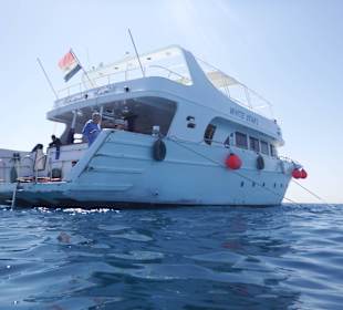 White start 1 am Riff