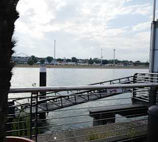 Hier fliesst die Düssel in den Rhein