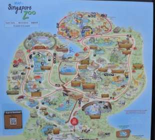 Singapur Zoo