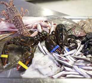 Ristorante Soleiado Rimini ristorante restaurant