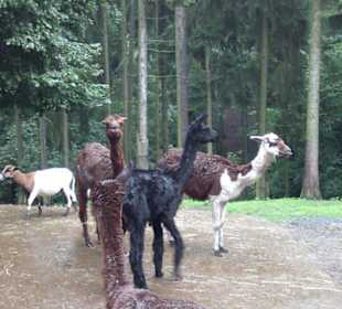 Zoo Olomouc