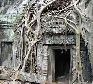 Ta Prohm