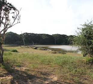 Yala Nationalpark