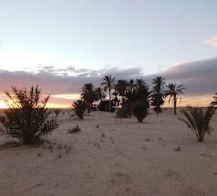 Sonnenuntergangsritt auf Kamelen