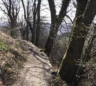 Wanderweg zur Achalm
