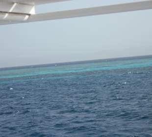 Ausschau nach Delfinen