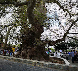 Stadtrundgang Analipsi