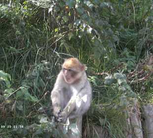 Wrten bis der nächste Mensch kommt