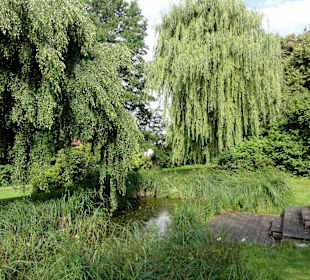 Spaziergang durch den Stadtpark