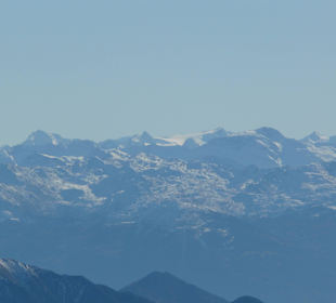 Blick zum Großglockner