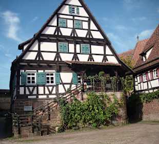 Losterbezirk