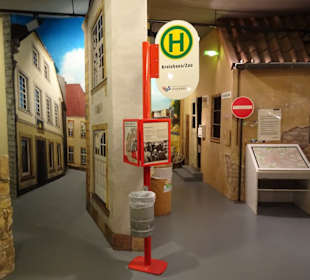Stadtökologie im Museum am Schölerberg