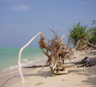 In der Honda Bay bei Puerto Princessa