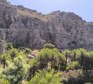 Palmenstrand Preveli