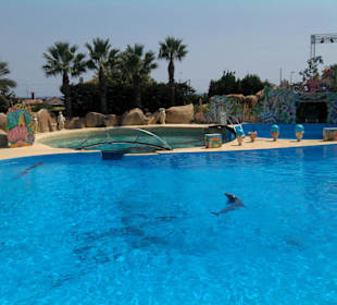 Marineland Delfinshow