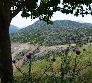 Der Weg ist das Ziel 