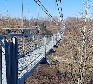 Harzdrenalin Hängebrücke