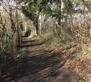 Scheibengipfel