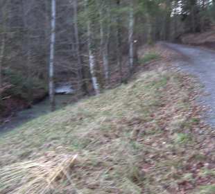 Ochsenweiher Rundweg