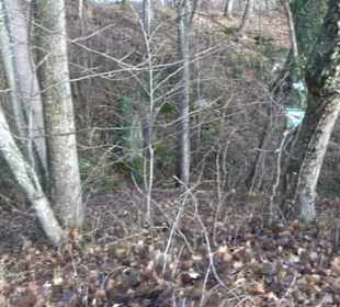 Gustav-Jakob Höhle Grabenstetten