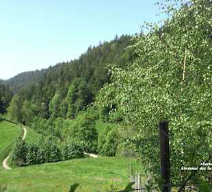 Ehrenmal des Schwarzwaldvereins